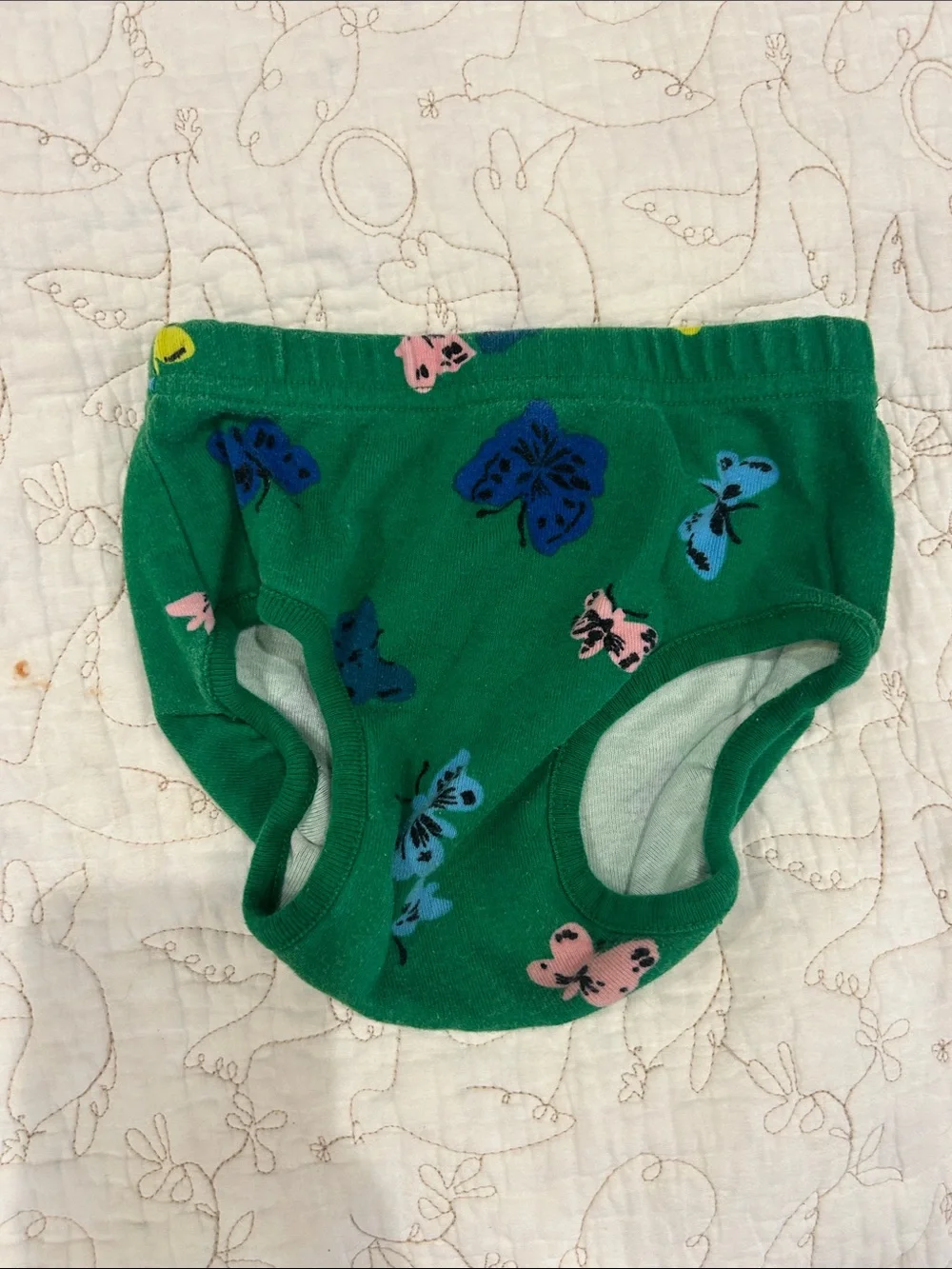 Hanna Andersson Green Butterfly Print Dress & Bloomers